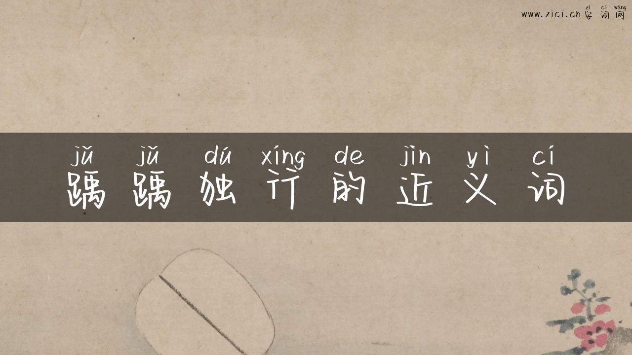 踽踽独行的近义词
