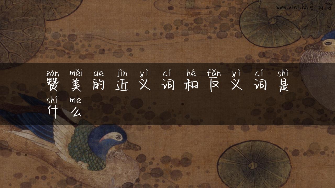 赞美的近义词和反义词是什么