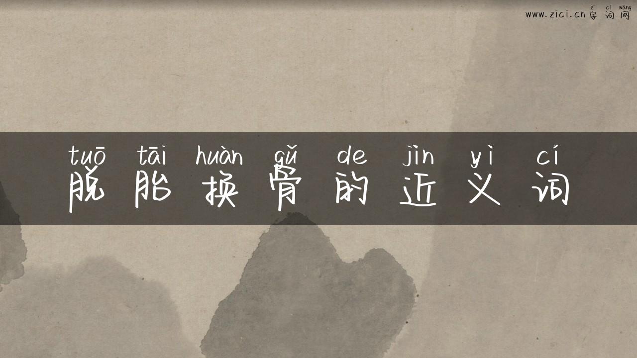 脱胎换骨的近义词