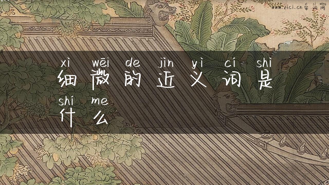 细微的近义词是什么