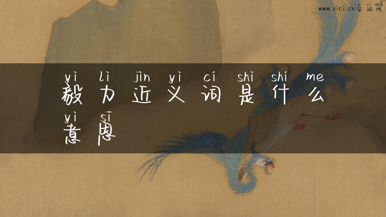 毅力近义词是什么意思