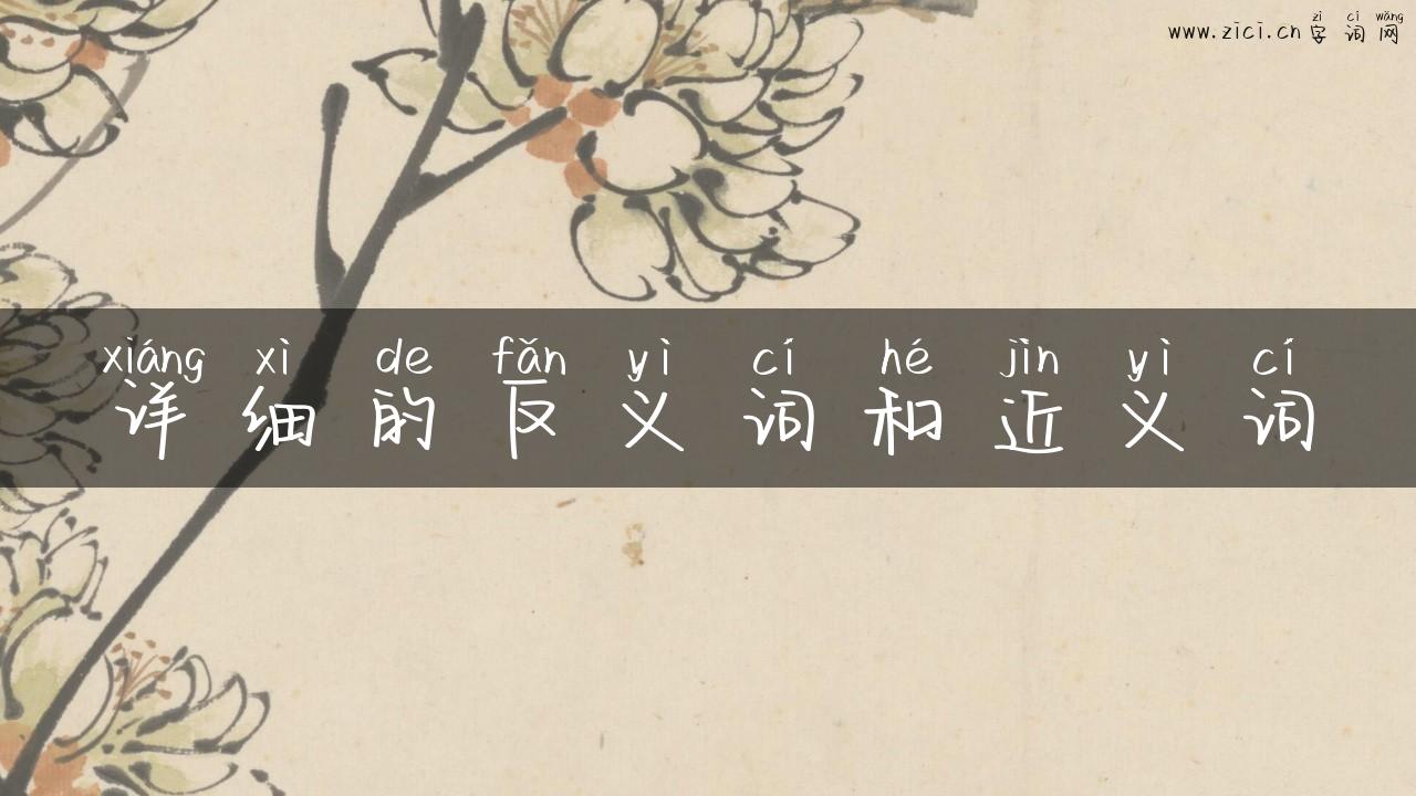 详细的反义词和近义词