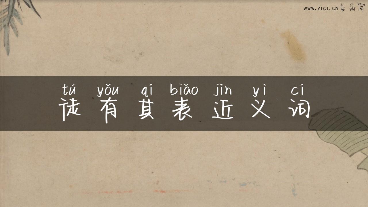 徒有其表近义词