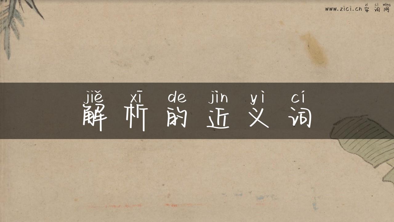 解析的近义词