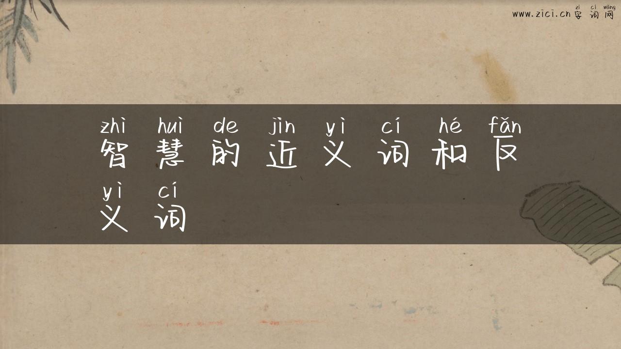 智慧的近义词和反义词