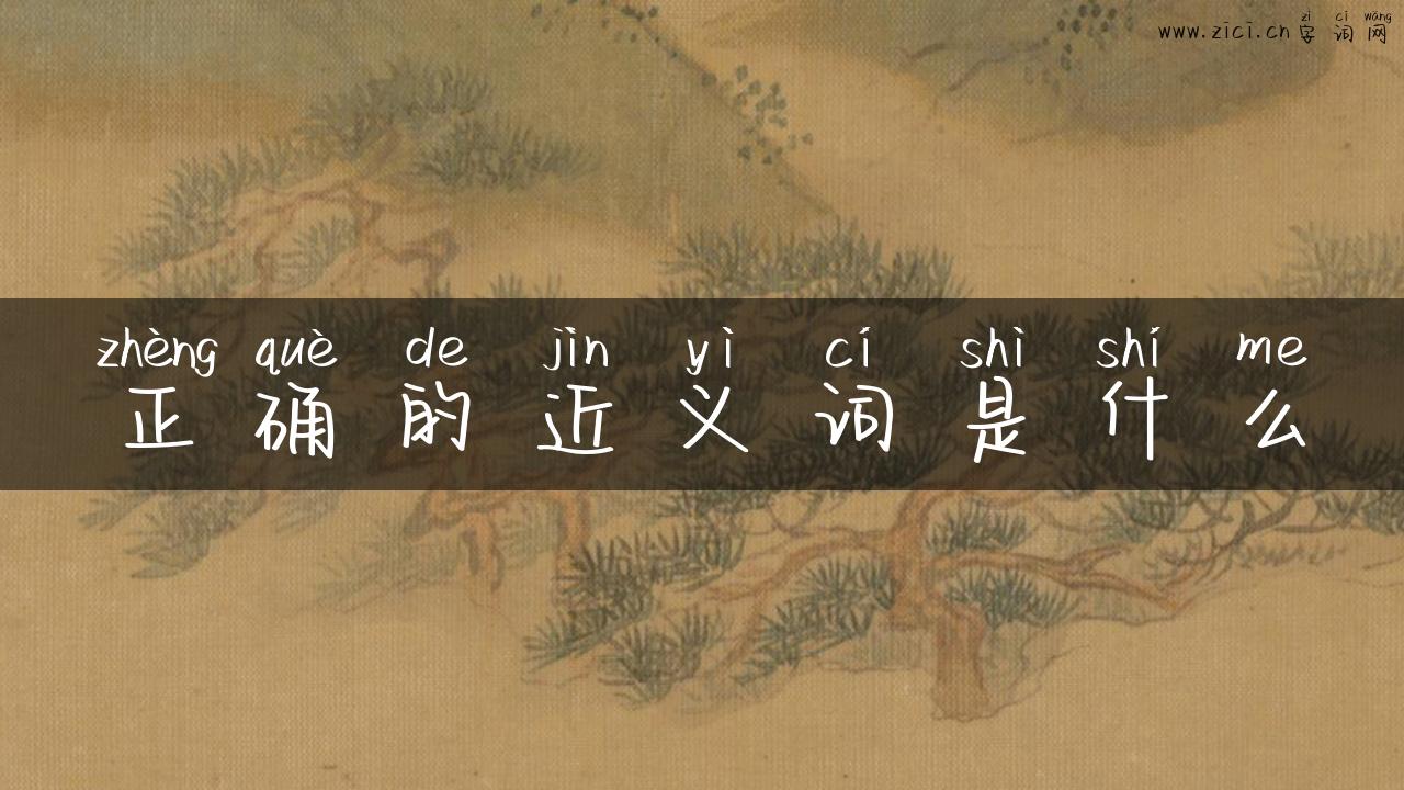 正确的近义词是什么