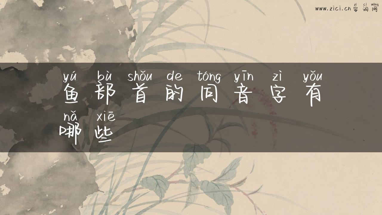 鱼部首的同音字有哪些