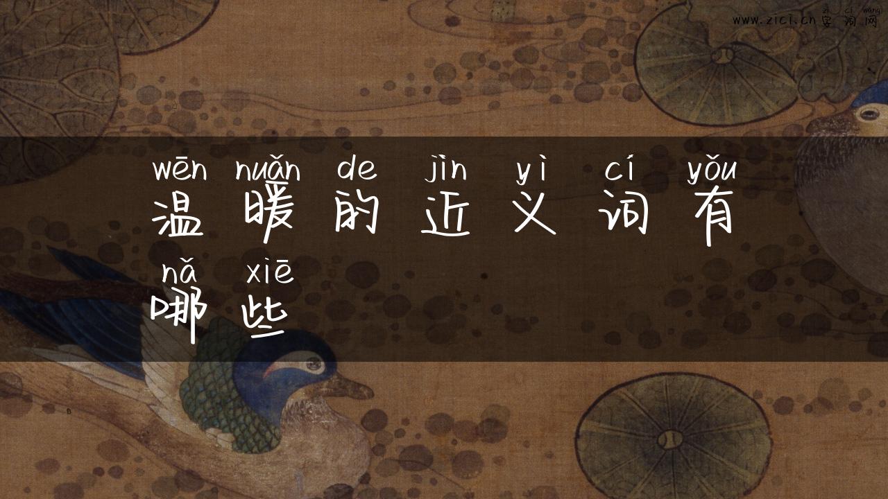 温暖的近义词有哪些