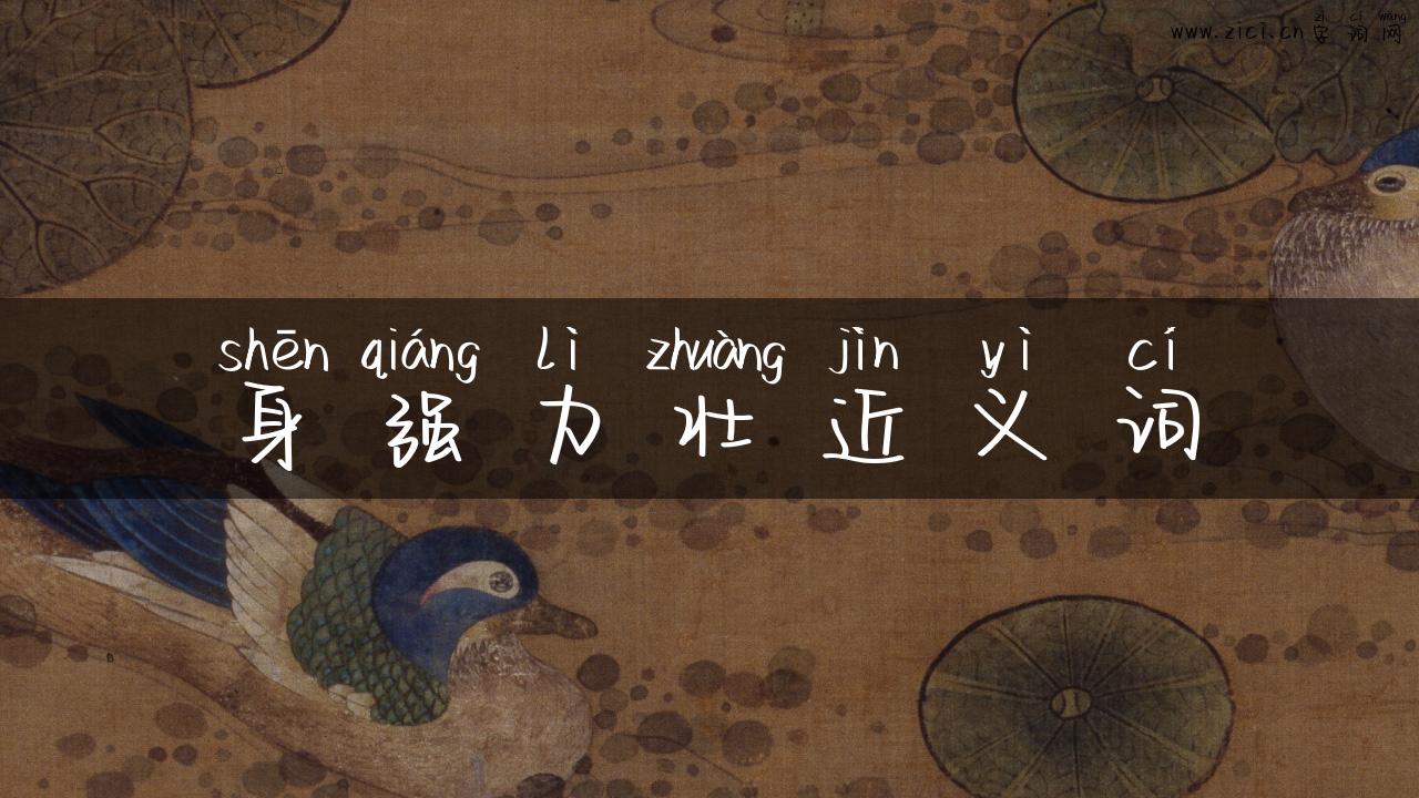 身强力壮近义词