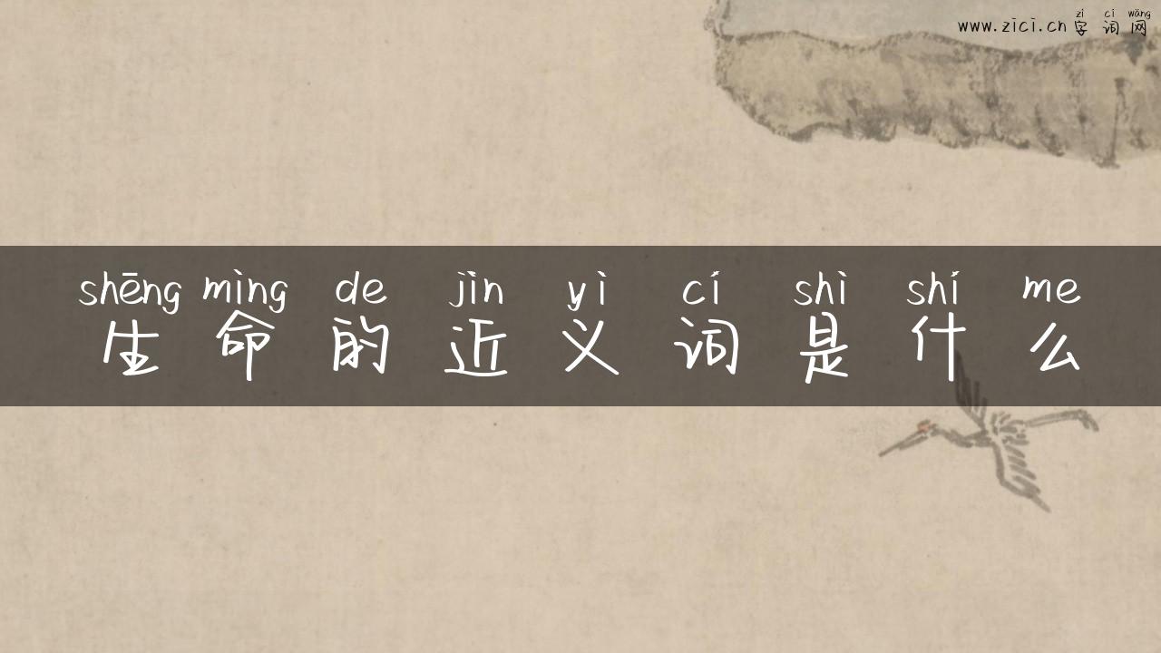 生命的近义词是什么