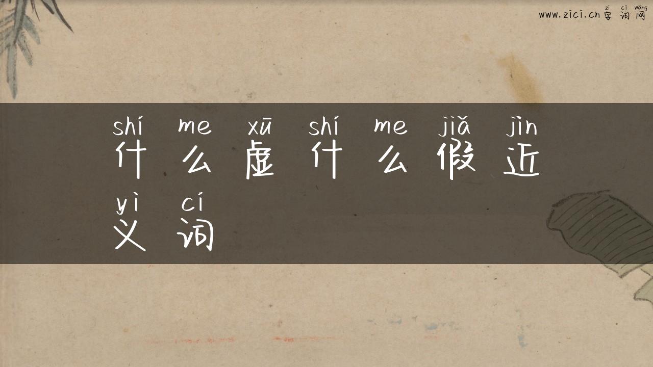 什么虚什么假近义词