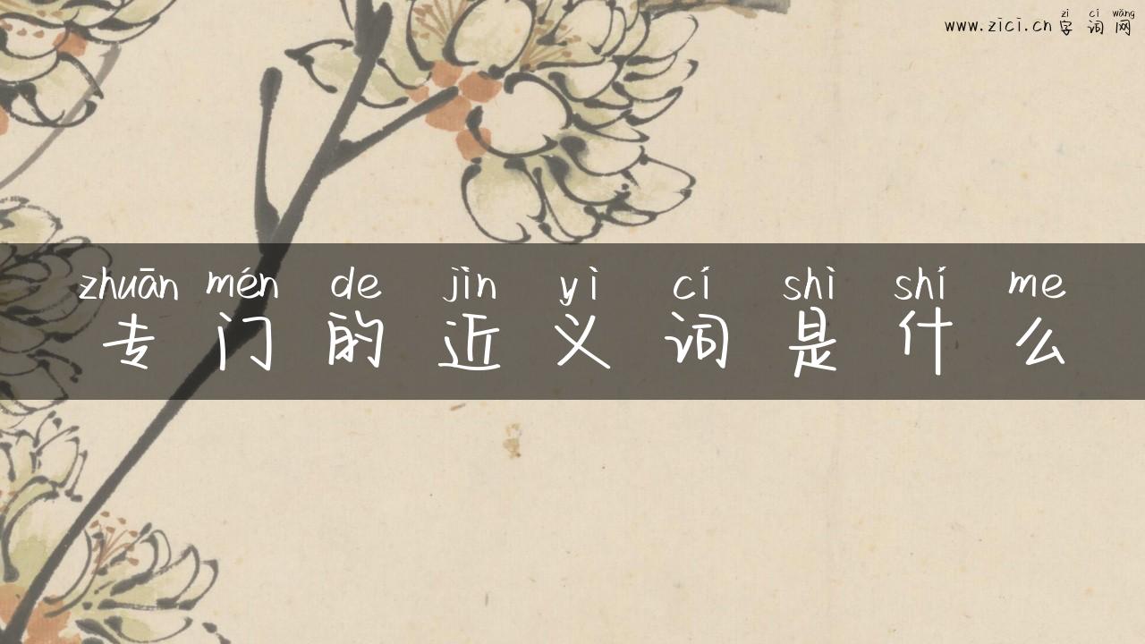 专门的近义词是什么