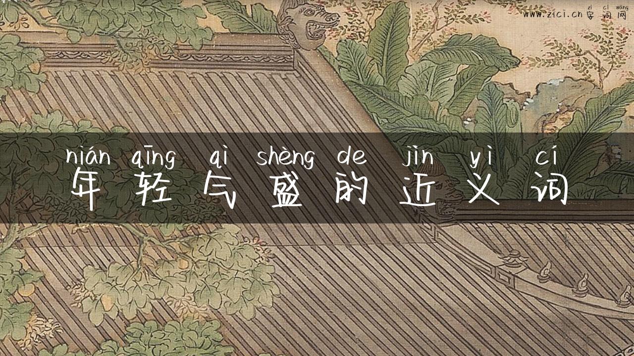 年轻气盛的近义词