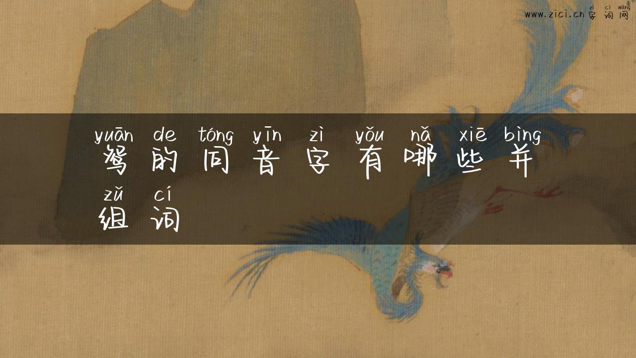 鸳的同音字有哪些并组词