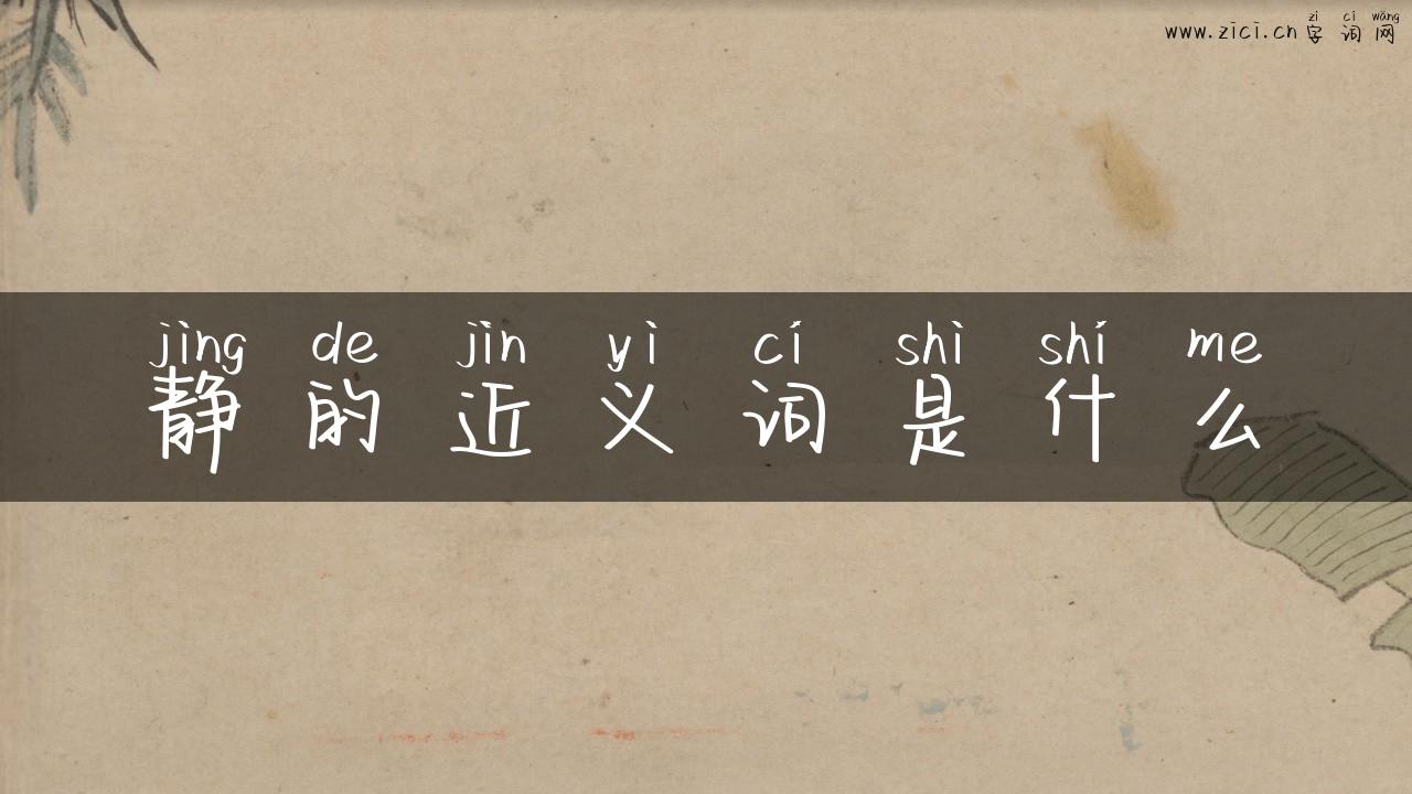 静的近义词是什么
