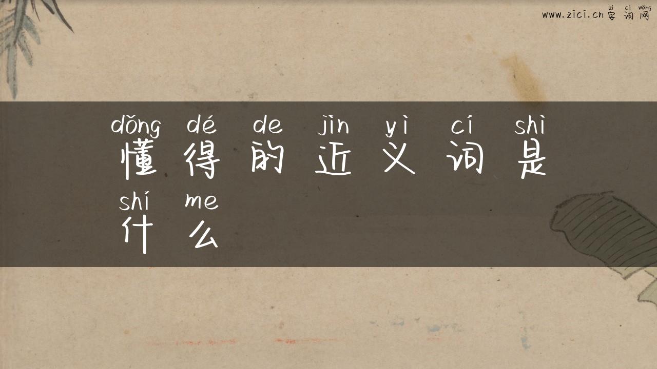 懂得的近义词是什么