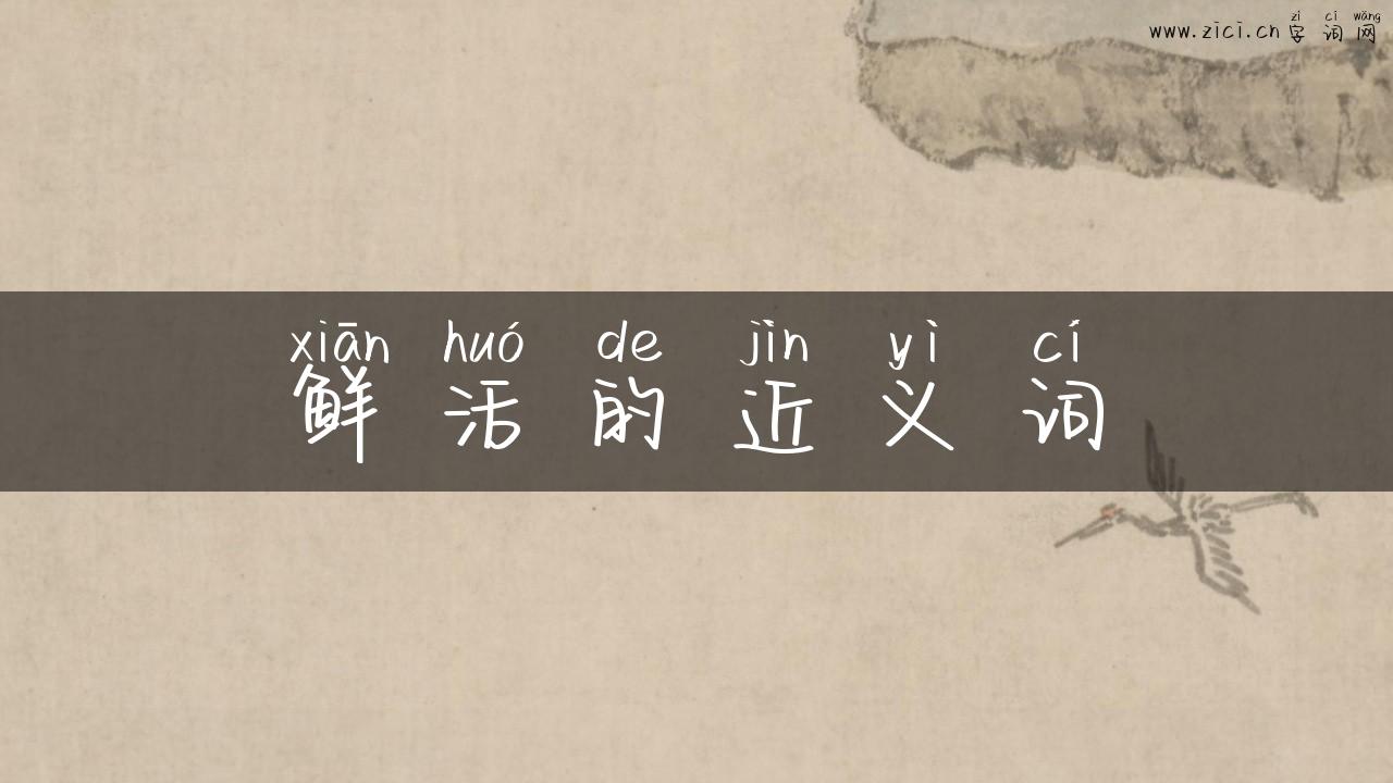 鲜活的近义词