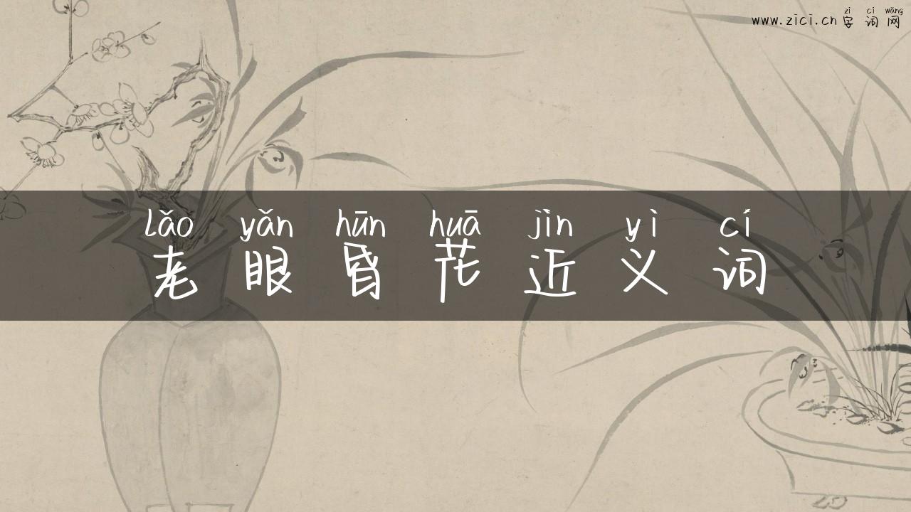 老眼昏花近义词