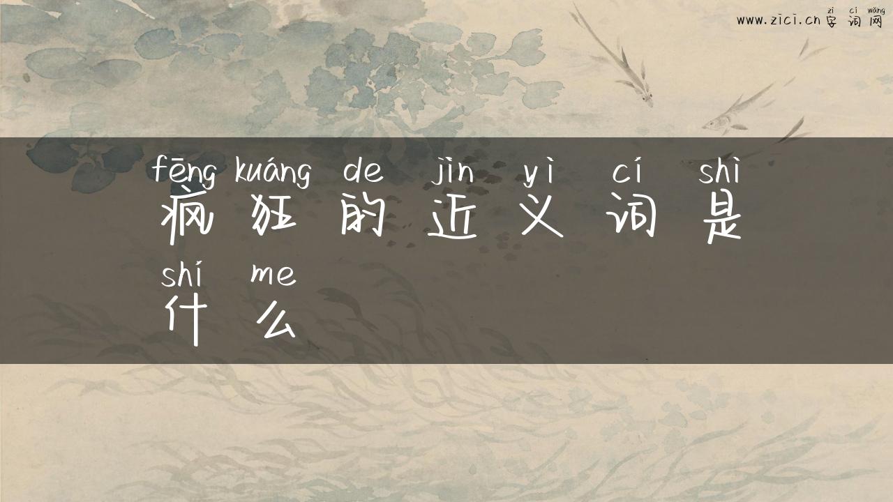 疯狂的近义词是什么
