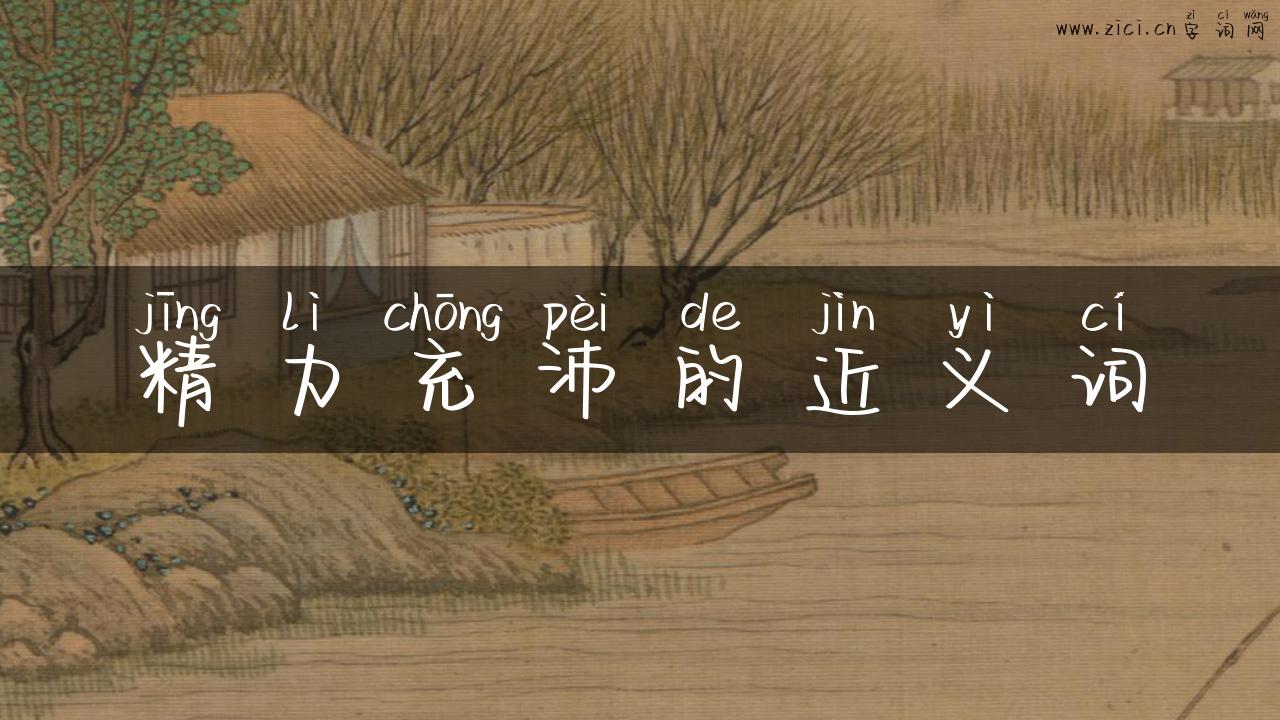 精力充沛的近义词