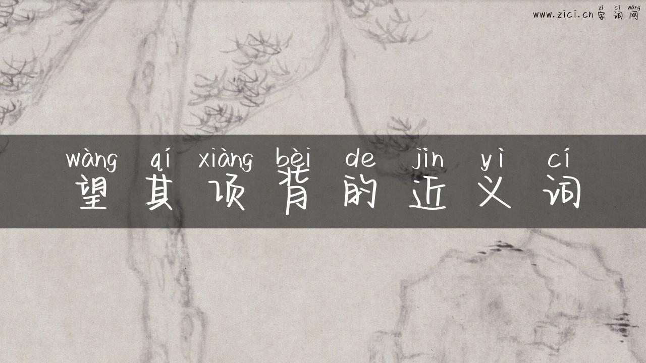 望其项背的近义词