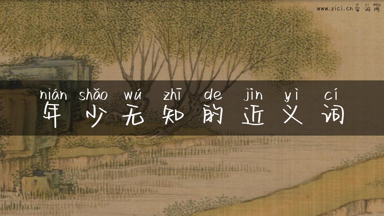 年少无知的近义词