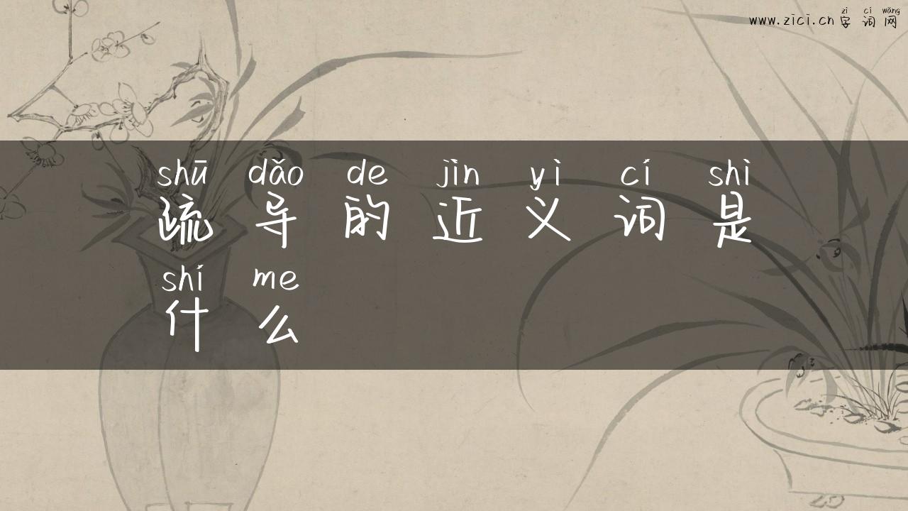疏导的近义词是什么
