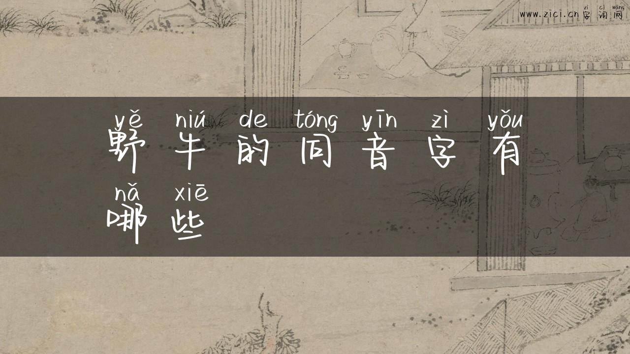 野牛的同音字有哪些
