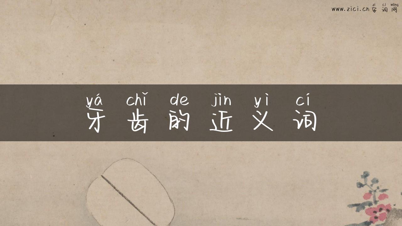 牙齿的近义词