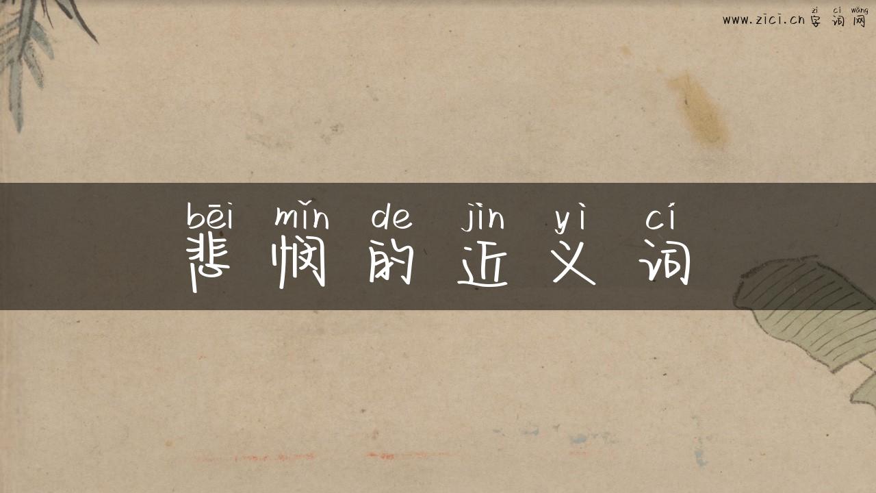 悲悯的近义词