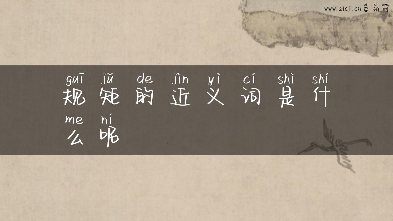 规矩的近义词是什么呢