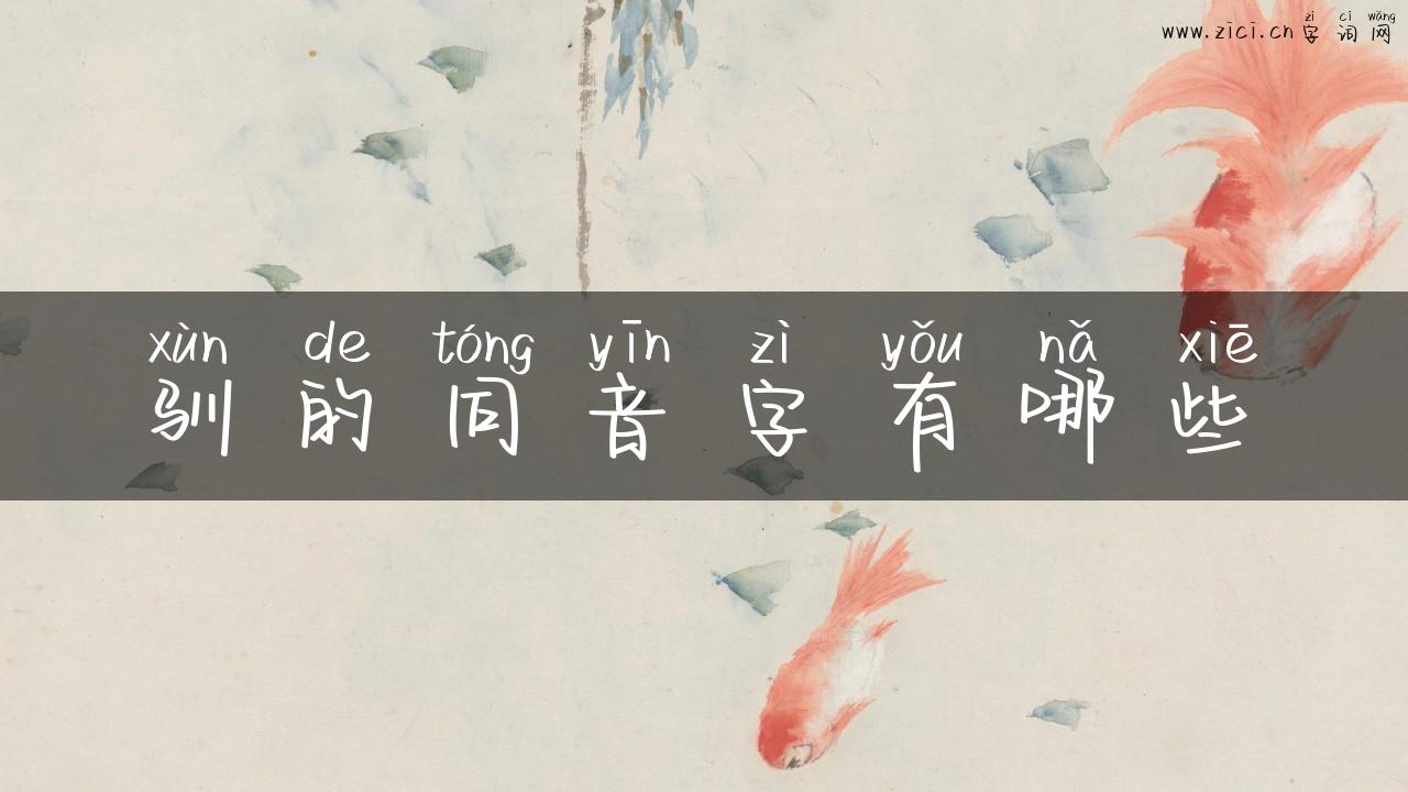 驯的同音字有哪些