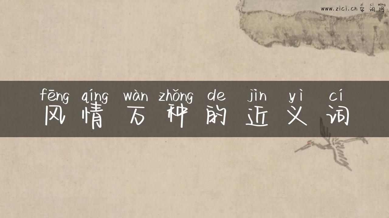 风情万种的近义词