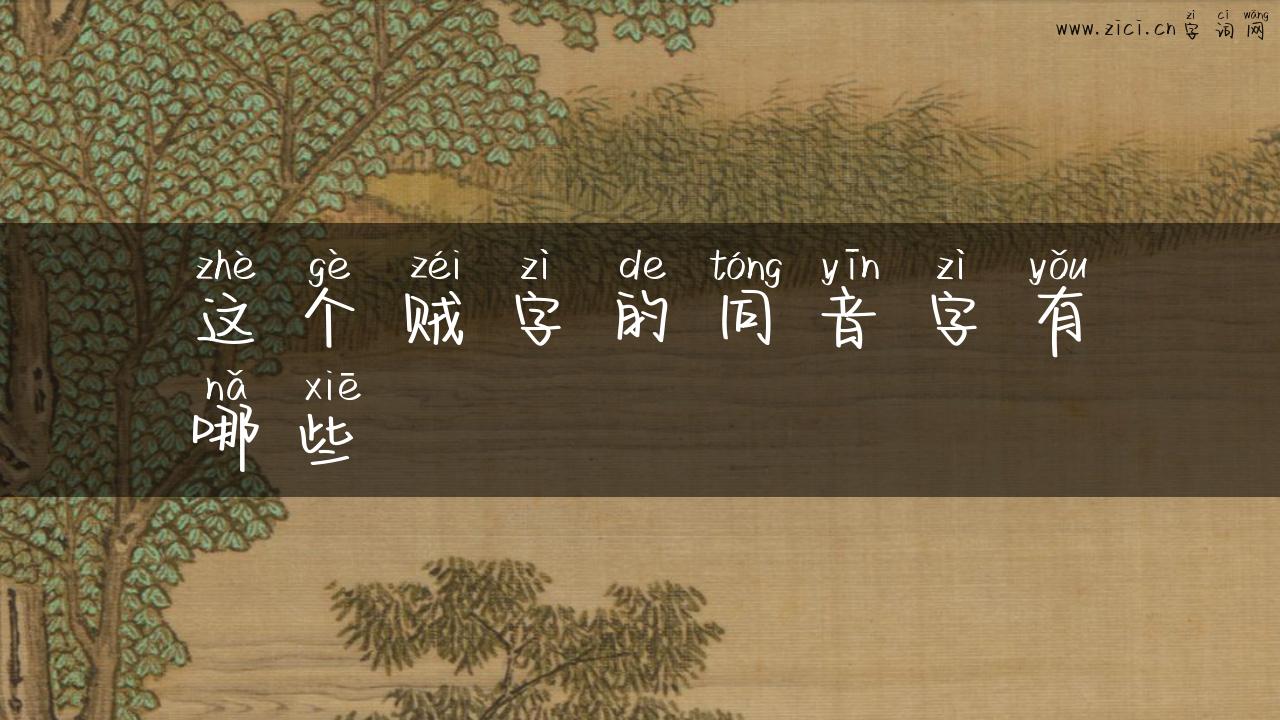 这个贼字的同音字有哪些