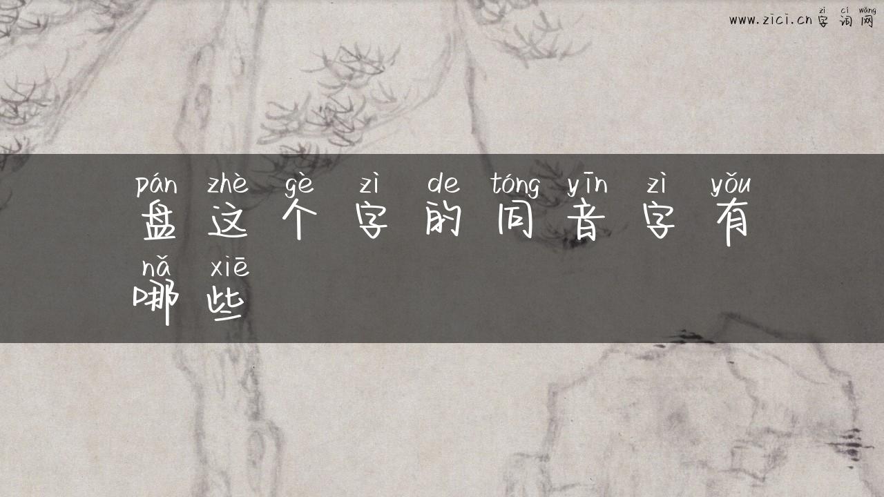 盘这个字的同音字有哪些