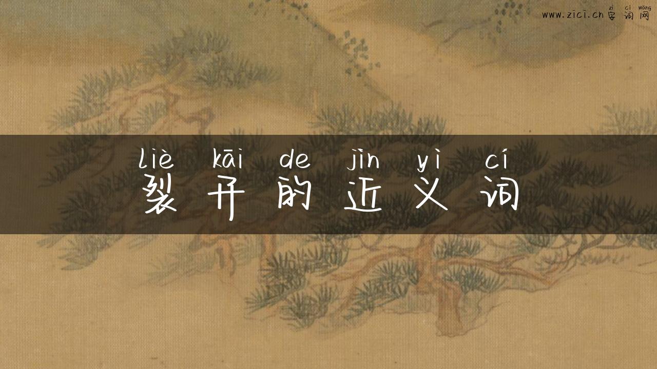 裂开的近义词