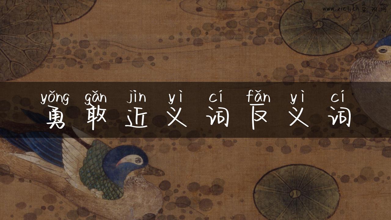 勇敢近义词反义词