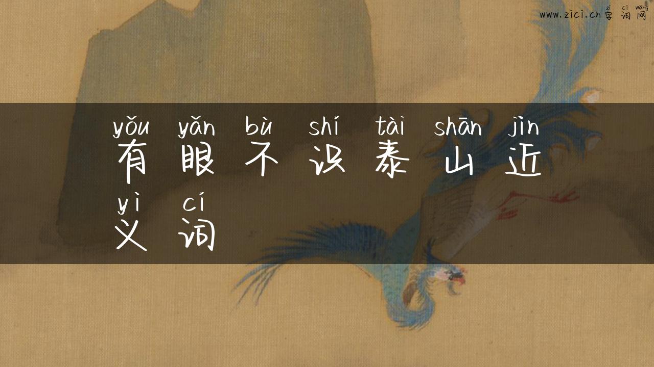 有眼不识泰山近义词
