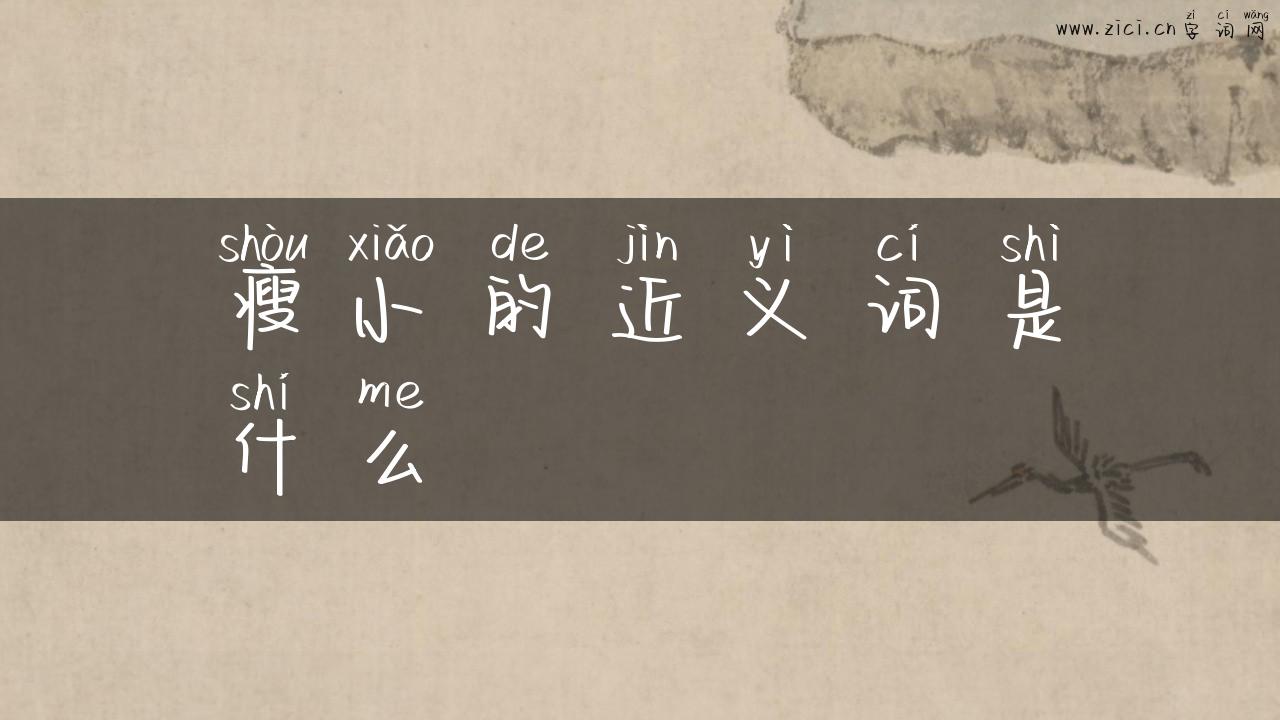 瘦小的近义词是什么