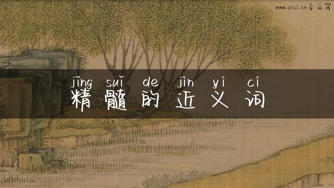 精髓的近义词