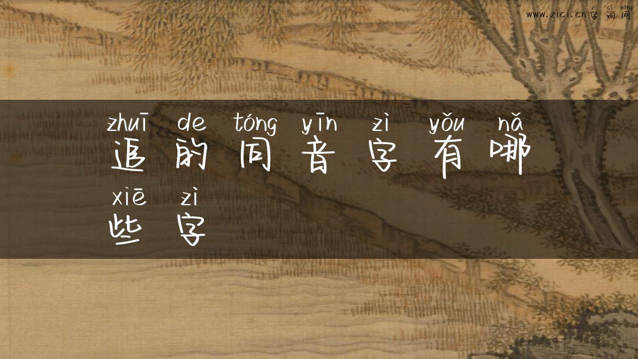 追的同音字有哪些字