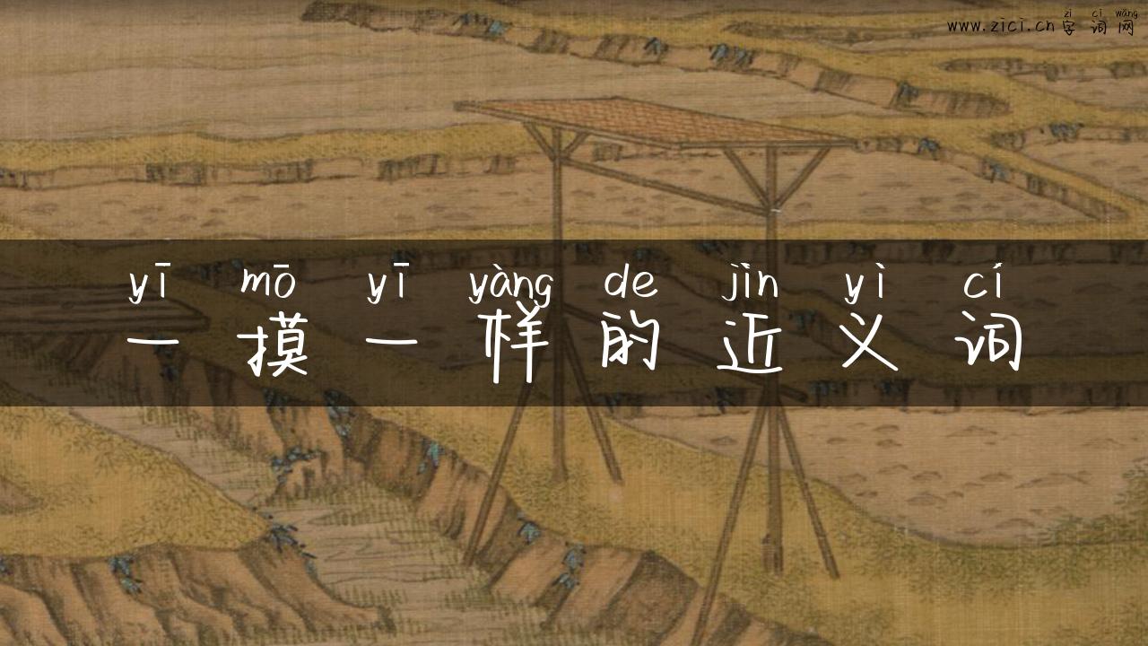 一摸一样的近义词