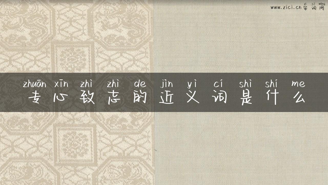 专心致志的近义词是什么
