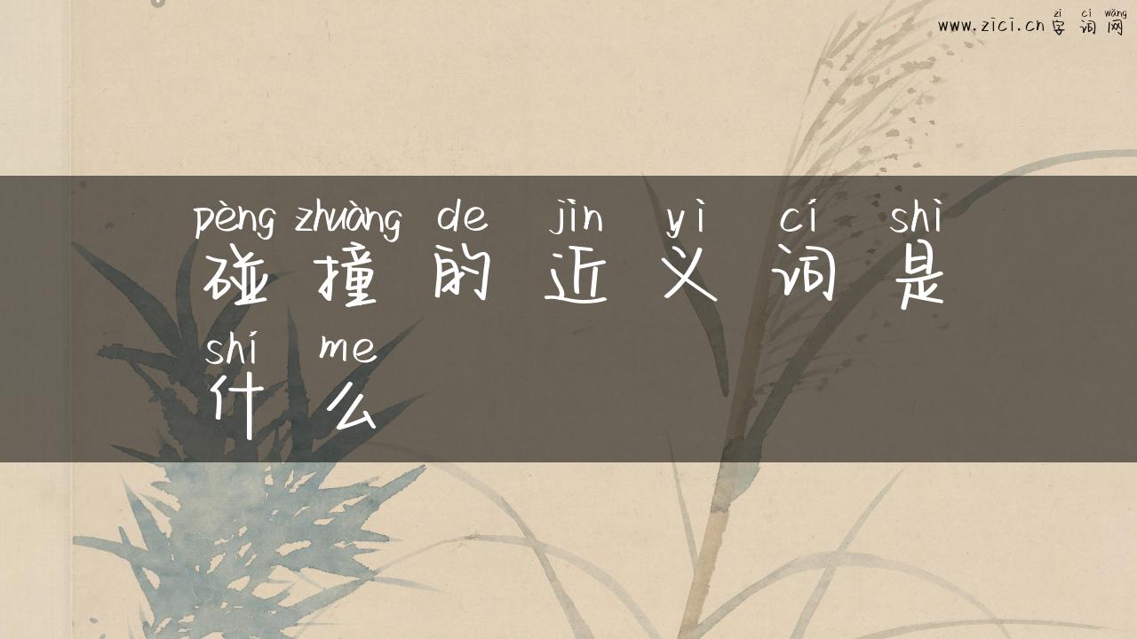 碰撞的近义词是什么