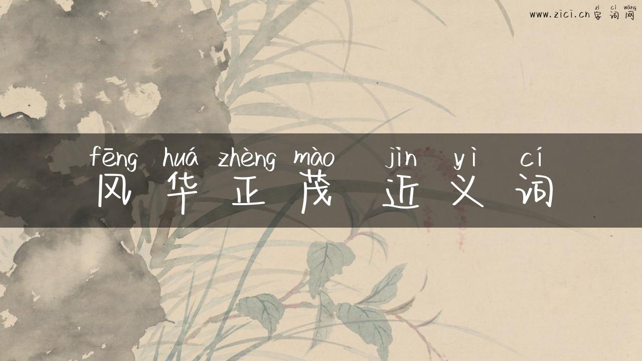 风华正茂 近义词