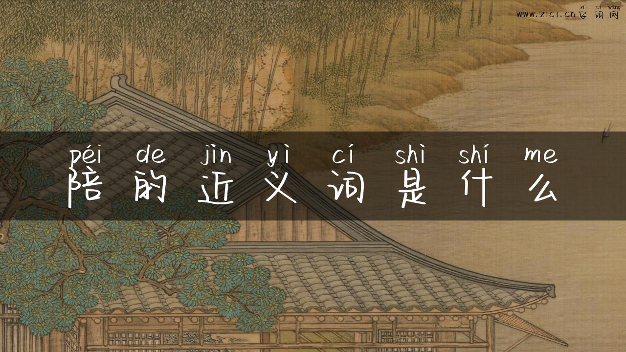 陪的近义词是什么