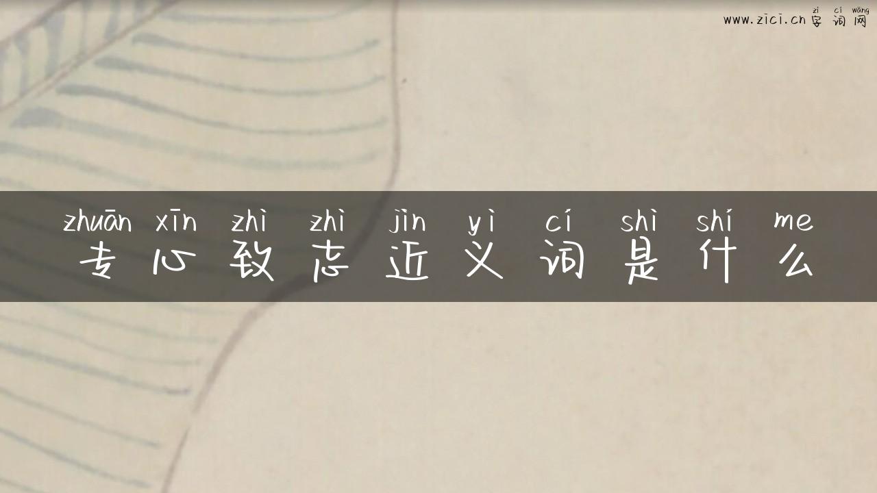 专心致志近义词是什么