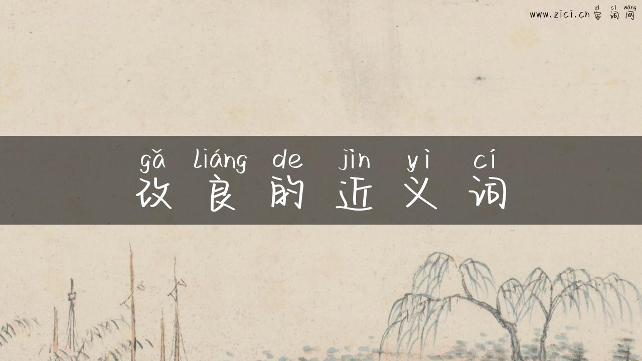 改良的近义词