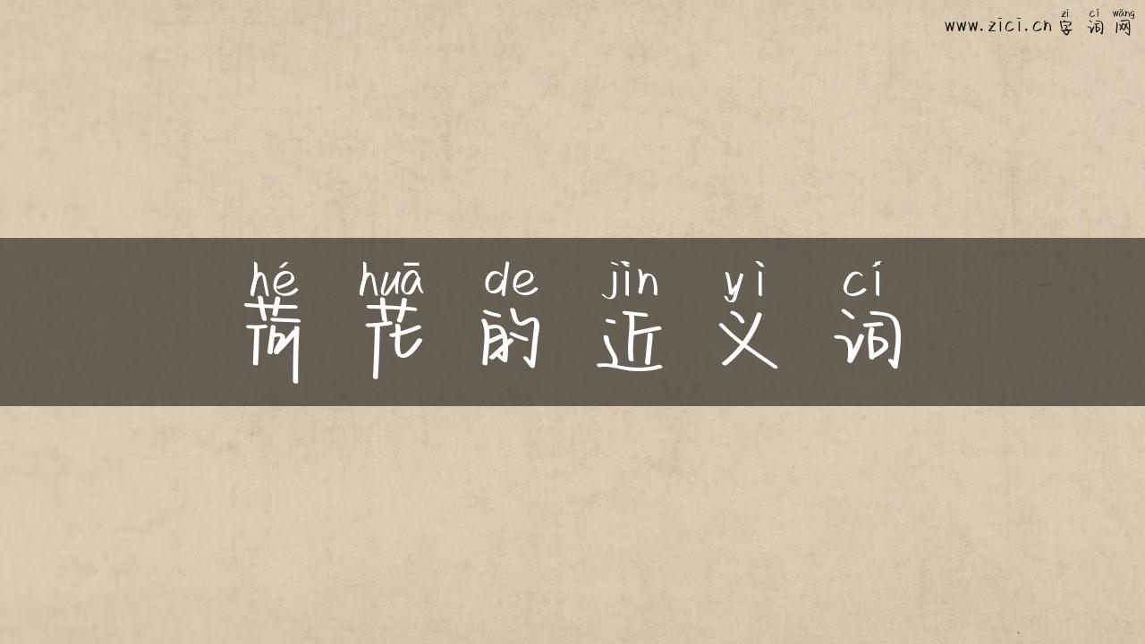 荷花的近义词