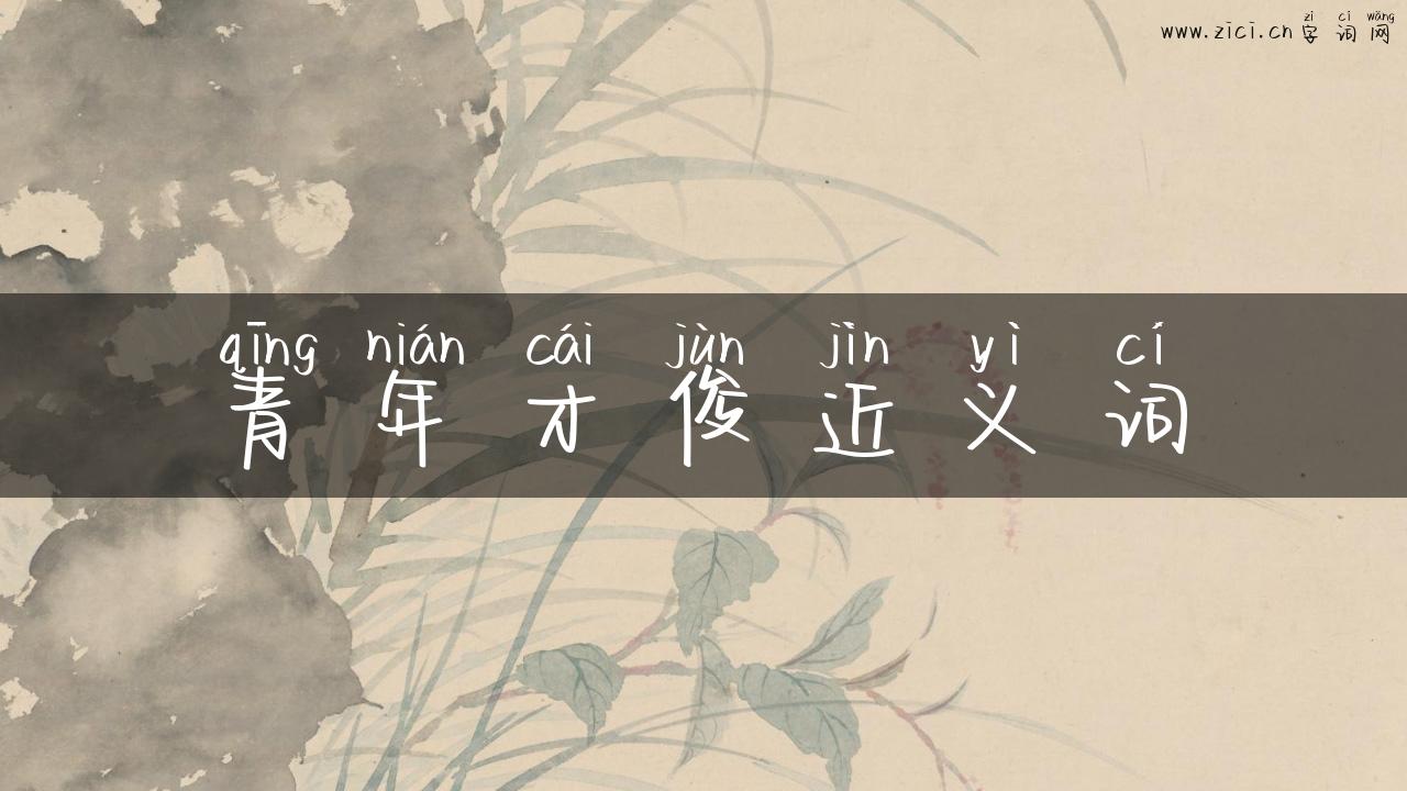 青年才俊近义词